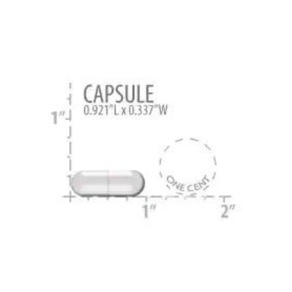 Life Extension ACETYLLCARNITINE ARGINATE / 90 Capsules leafvitamins