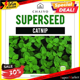 เมล็ดพันธุ์กัญชาแมว ชัยโย 450 เมล็ด เมล็ดพันธุ์ CATNIP 450 SEEDS ต้นไม้และเมล็ดพันธุ์