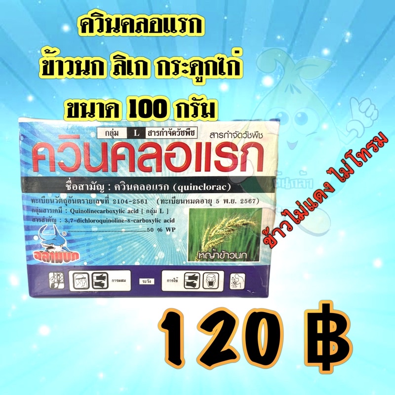 สารควินคลอแรก กำจัดวัชพืช ในนาข้าว กำจัดหญ้าข้าวนก ลิเก กระดูกไก่ ข้าวไม่โทรม ขนาด 100 กรัม