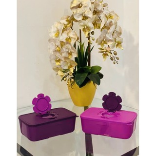 Tupperware purple  Royals Tissue  Box