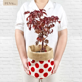 Pena Home : PLANT POT COVER กระถางต้นไม้ สีครีมลายจุดแดง รุ่น 7PAS0010-7PAXL0010