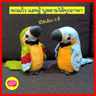 ตุ๊กตานกแก้วแสนรู้ พูดได้ ตุ๊กตานกแก้ว พูดตาม พูดได้ทุกภาษา ปีกขยับได้ สูงประมาณ 22 cm