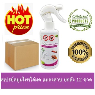 (ยกลัง 12 ขวด) SAMUNPINE สเปรย์สมุนไพรไล่มดและแมลงสาบ ขนาด 250 ml. / Anti-Ant and Cockroach Herbal Spray