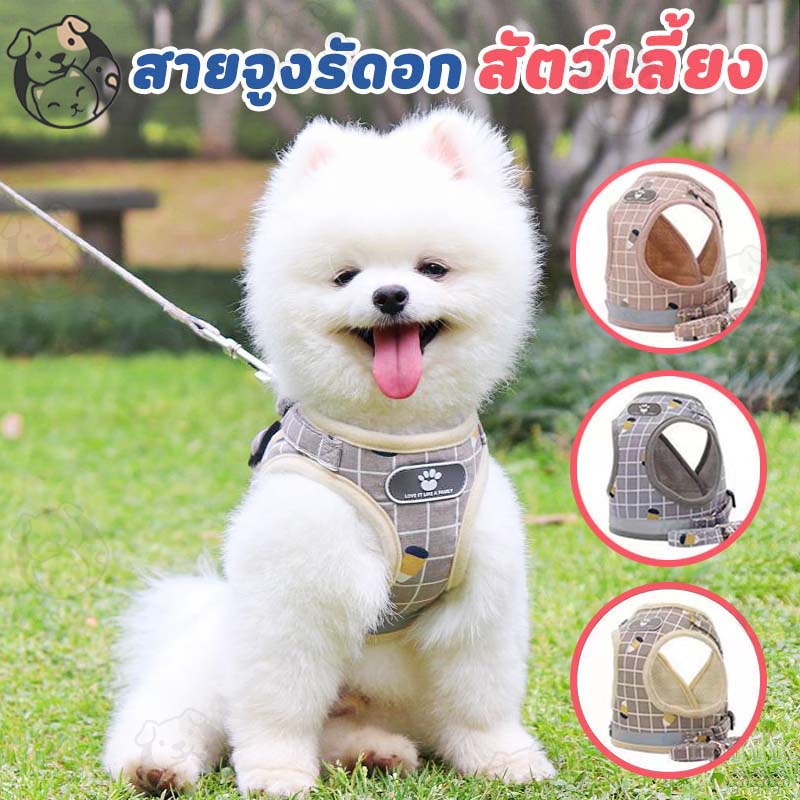 เสื้อสายจูงสัตว์เลี้ยง ลายตาราง มีเเถบเรืองเเสงตอนกลางคืน