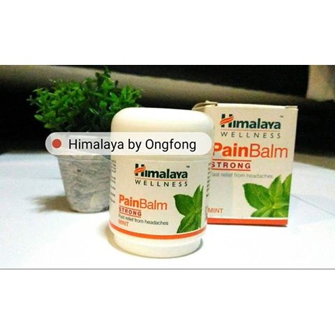 Himalaya Pain Balm 45g