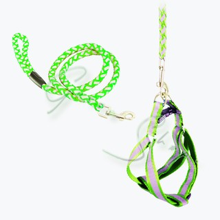 G0303352 Reflex Set Style Leash  สายจูงพร้อมรัดอก