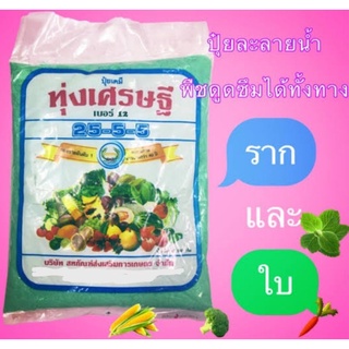 ปุ๋ยเคมีทุ่งเศรษฐี สูตร 25-5-5 ปุ๋ยละลายน้ำฉีดพ่นทางใบ ขนาด 1000 กรัม