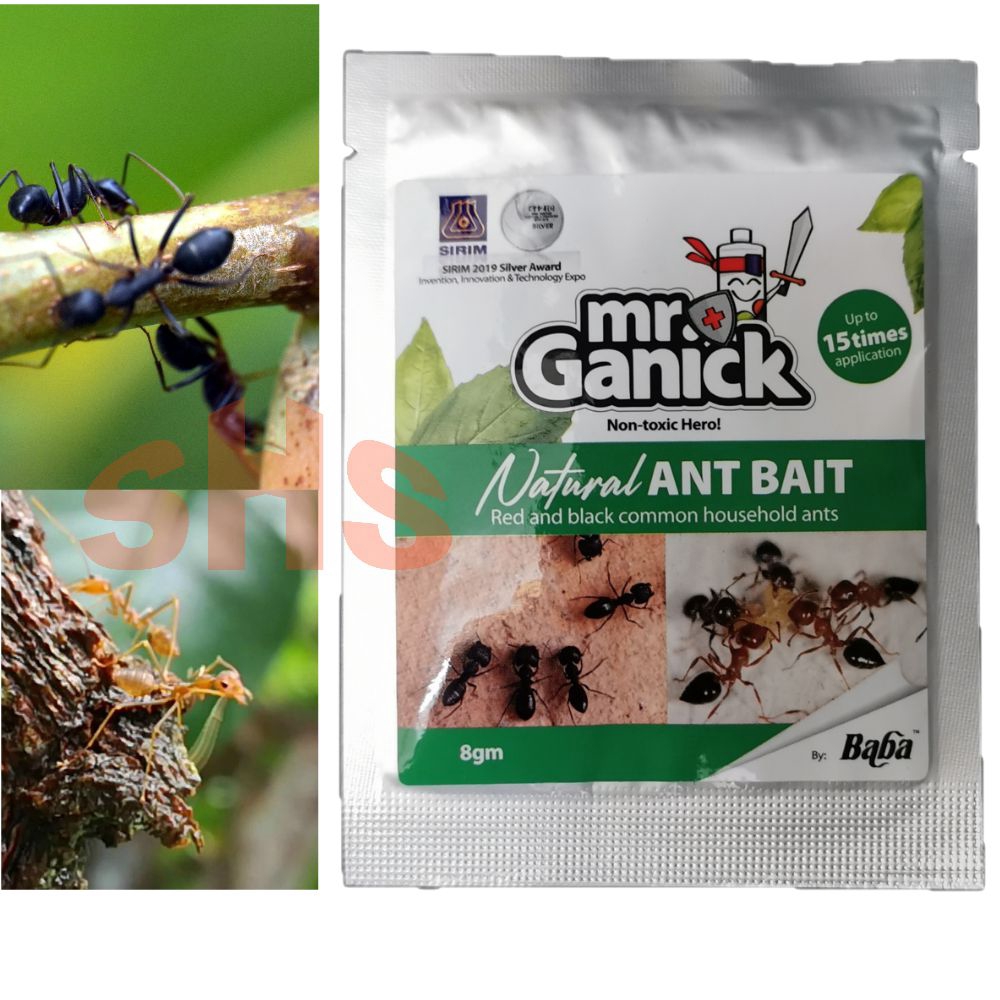 Racuun Sumut Baba Ant Bait .panpanilla Natural Organic Non Toxic 8g Mr Ganick SHS Kebun