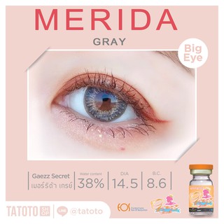 Merida Gray TATOTO Contact Lenses