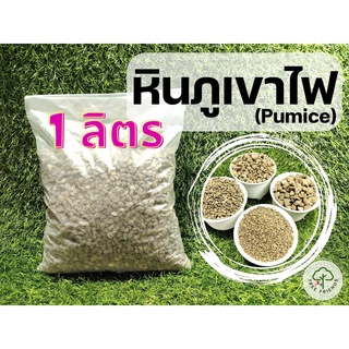 1 ลิตร หินภูเขาไฟ AmityGreen (Pumice)