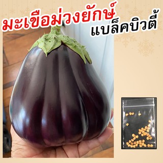 [10แถม1] เมล็ดมะเขือม่วงยักษ์ 20เมล็ด - แบล็คบิวตี้ Black Beauty Eggplant Seeds