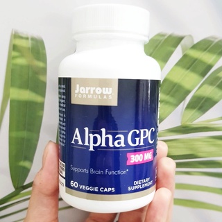 อัลฟ่า จีพีซี Alpha GPC 300 mg 60 Veggie Caps, Supports Brain Function (Jarrow Formulas®)