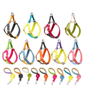 PP-267 สายจูงและสายรัดอกสำหรับสุนัขและแมว ชุดรัดอกสีพาสเทลน่…