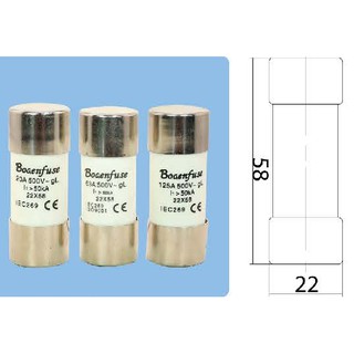 Bogenfuse (10ชิ้น) GL22 ฟิวส์กระบอก รุ่น GL22 กระแส 20A ถึง 125A