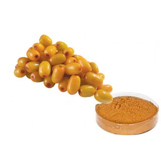 ผง Sea Buckthorn ฟรีซดาย 50 กรัม รหัสสินค้า : 004685