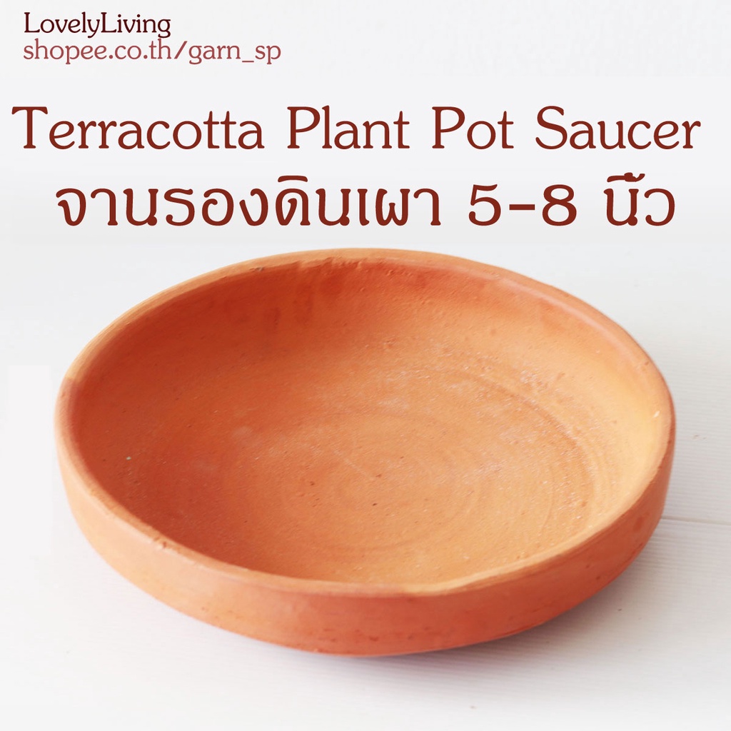 จานรองกระถางดินเผา Terracotta Plant Pot Saucer
