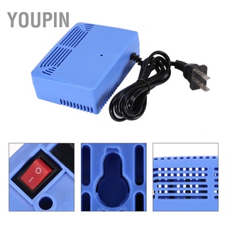 [คลังสินค้าใส]Youpin Ac220-240V เครื่องฟอกอากาศอัจฉริยะ Ionizer Airborne สีฟ้า