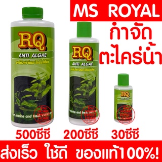 *ค่าส่งถูก* RQ ANTI ALGAE น้ำยากำจัดตะไคร่ตู้ปลาและบ่อปลา แก้ปัญหาน้ำเขียว น้ำยากำจัดตะไคร่บ่อปลา