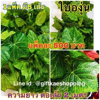 เถาองุ่น (ใบไม้เลื้อย) 1 แพ็ค บรรจุ 5 เส้น