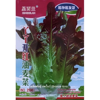 เมล็ดพันธุ์ เรดโบว์ (Bronze Arrow Lettuce) บรรจุ 3500 เมล็ด #2