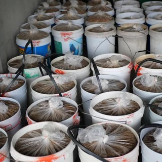 ปลาจ่อมผสมกุ้ง ทำใหม่ทุกวัน ขนาด 500 กรัม (ส่งตรงจากบ้านปลาจ่อม โคราช)