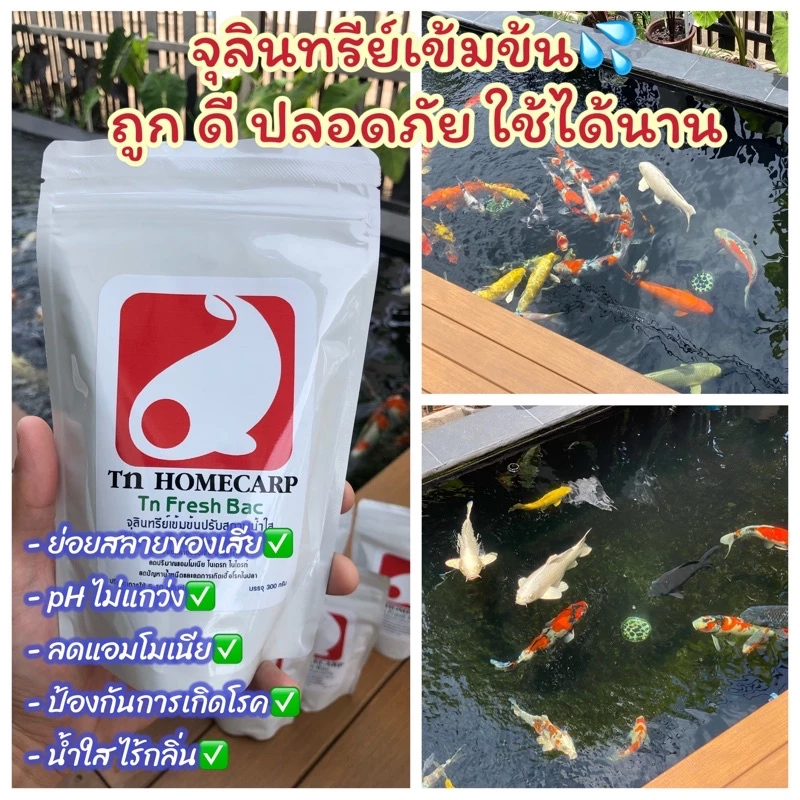 Tn Fresh Bac จุลินทรีย์ปรับสภาพน้ำใสไร้กลิ่น สำหรับบ่อปลาตู้ปลา สำหรับปลาคาร์ฟ ปลาทอง และปลาน้ำจืดทุกชนิดปลอดภัย 100%