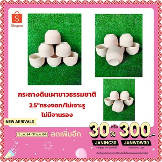 กระถาง2.5"ทรงจอกชา /ไม่เจาะรูขาวธรรมชาติยกโหล