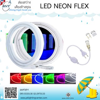 BNT ไฟเส้น LED Neon Flex แบบ AC220V