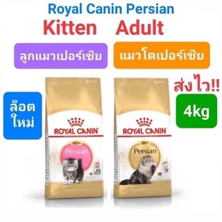 Royal Canin Persian Adult 4kg Kitten Persian 4kg โรยัลคานิน แมวโต ลูกแมว เปอร์เซีย ถุง 4 กก