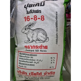 ปุ๋ย 16 8 8 ตรากระต่ายขนาด50kg