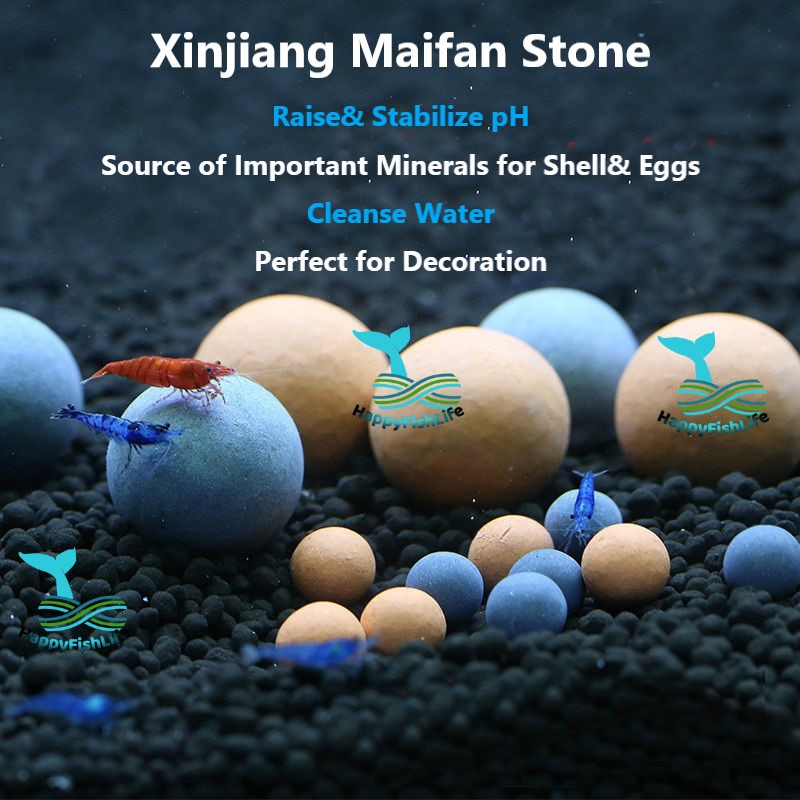 ลูกแร่กุ้ง Maifan Stone กุ้ง Aquarium pH Stabilizer Natural Aseptic mineralizer