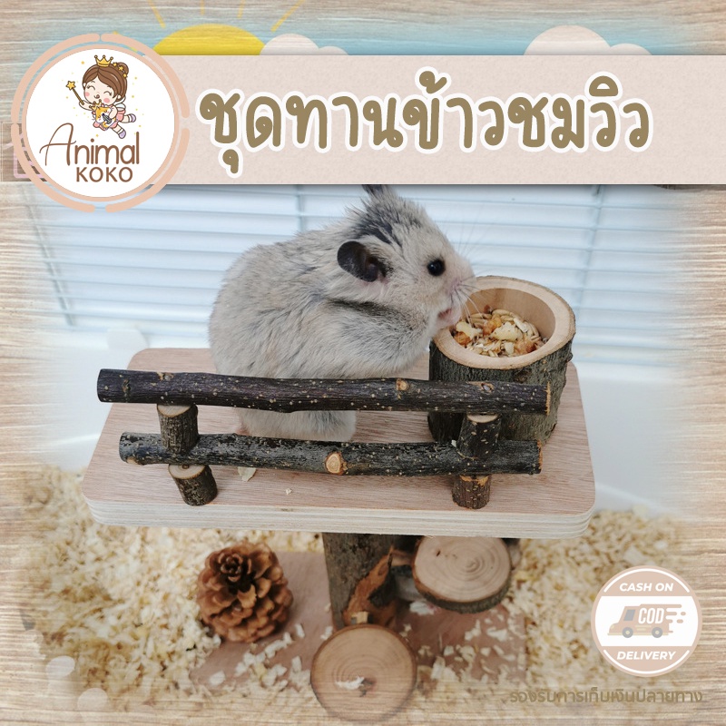 [Animal KOKO] พร้อมส่ง ชุดทานอาหาร ชมวิวของหนูแฮมสเตอร์ น่ารัก บันไดวน จากไม้แอปเปิ้ล สุดเท่ห์