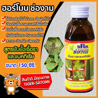 ช่องาม ยาป้องกันเชื้อราและแบคทีเรีย ขนาด 150 ซีซี. (Pesticides)ป้องกันเชื้อรา ป้องกันศัตรูพืช ไม้ดอกไม้ประดับ พืชทุกชนิด