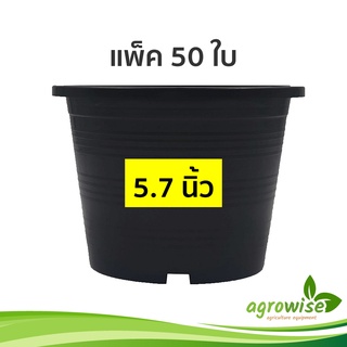 กระถาง กระถางต้นไม้ กระถางต้นไม้พลาสติก 5.5 นิ้ว 5.7 นิ้ว แพ็ค 50 ใบ สีดำ สีขาว สีอิฐ