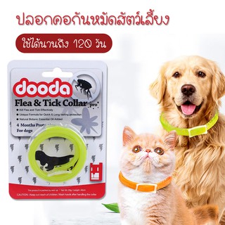 RAINBEAU ปลอกคอกันเห็บ หมัด Dooda Flea &amp; Tick Collar Pro ป้องกันกำจัดเห็บหมัด ยุง และแมลงที่มารบกวน (สีเขียว)​