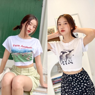 Live122# เสื้อขาว “Farm Girl” S-XXL อก 32-50 สไตล์เกาหลี Dream Big Tshirt โอเวอร์ไซน์ สาวอวบใส่ได้ สีขาว คอกลม เเฟชั่น