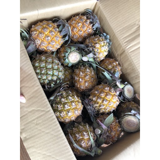 My Image 64