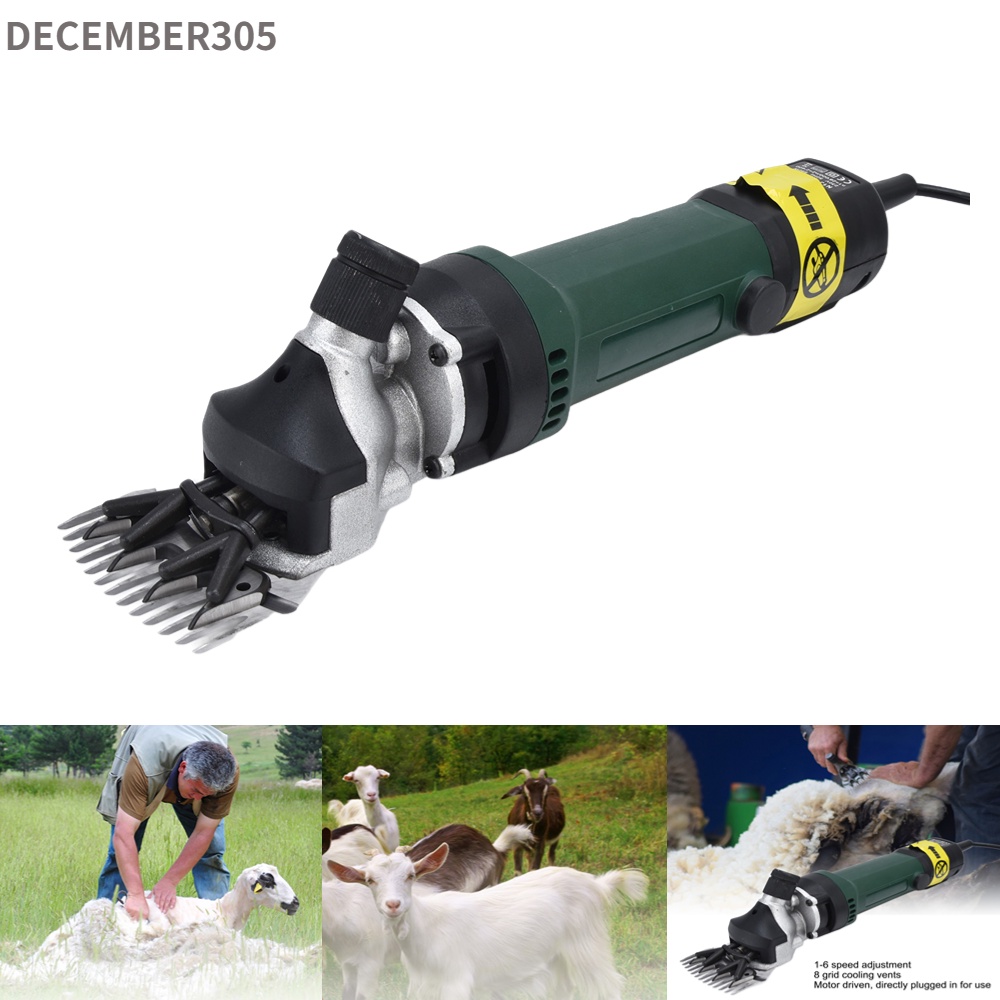 can sheep shears be used on dogs