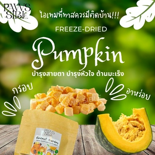 [Paws-sible] Rodent Garden: Freeze dried pumpkin