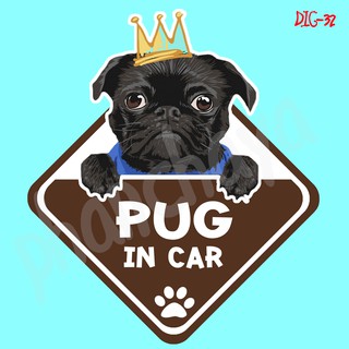 DIC32 สติ๊กเกอร์ ติดรถ Pug Dog In Car สติ๊กเกอร์ติดรถ แต่งรถ car sticker