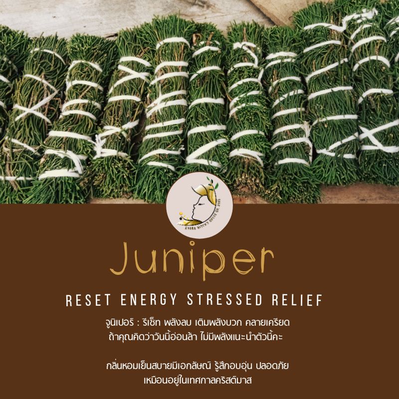 SM03Juniper(จูนิเปอร์)reset พลังงานลบ คลายความเครียด เพิ่มพลังงานบวก
