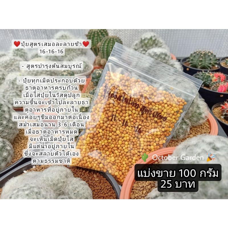 ปุ๋ยแคคตัส ละลายช้า 16-16-16