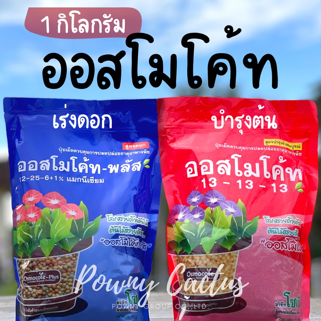 ปุ๋ยออสโมโค้ท บำรุงต้น เร่งดอก ขนาด 1 กิโล 13-13-13 และ 12-25-6