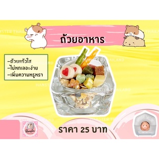 ถ้วยใส ชามอาหาร สำหรับสัตว์เลี้ยง