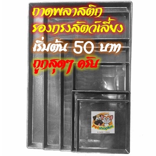 (🔥9.9) ถาดรองพลาสติก ถาดพลาสติกรองกรง ถาดพลาสติกรองกรงสัตว์เลี้ยง ถาดรองฉี่ ถาดรองฉี่สุนัข ถาดรองฉี่แมว สีดำ พร้อมส่ง