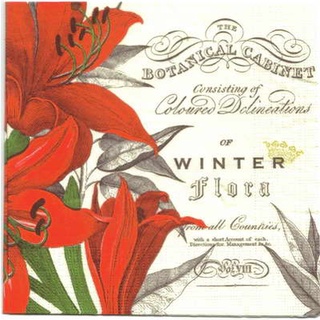 Pladao Napkin ภาพดอกไม้ ดอกลิลลี่สีแดง Winter Flora Botanic กระดาษ แนพกิ้น สำหรับงานศิลปะ เดคูพาจ decoupage ขนาด L 33x33