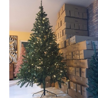 ต้นคริสต์มาสประดับตกแต่ง พร้อมไฟตกแต่ง ขนาด 210 ซม. 7 ฟุต Christmas tree with Decorate light 210 cm 7 ft  (Green)