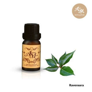 Aroma&amp;More  Ravensara essential oil 100% น้ำมันหอมระเหยราเวนซารา 100%, มาดากัสการ์ /Madagascar  5/10/30ML