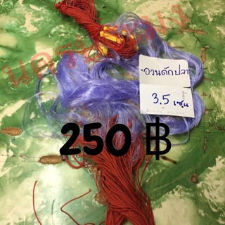 อวนดักปลาแบบตะกั่วกลม ขนาดตา 3.5 ซม.