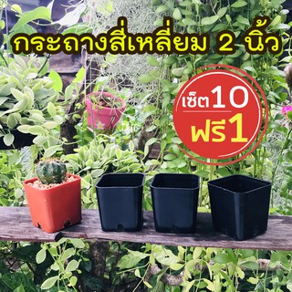 (เซ็ต 10 แถม 1) กระถางสี่เหลี่ยมปลูกแคคตัส กระถางแคคตัส ขนาด 2 นิ้ว กระถางปลูกกระบองเพชร กระถางปลูกต้นไม้